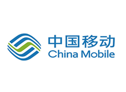 软件开发公司